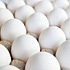 Ceny producent vajec v R jsou o tvrtinu ni ne v Polsku i pod prmrem EU
