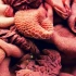 Zmìna podmínek pou¾ívání nové potraviny „proteinový extrakt z vepøových ledvin“